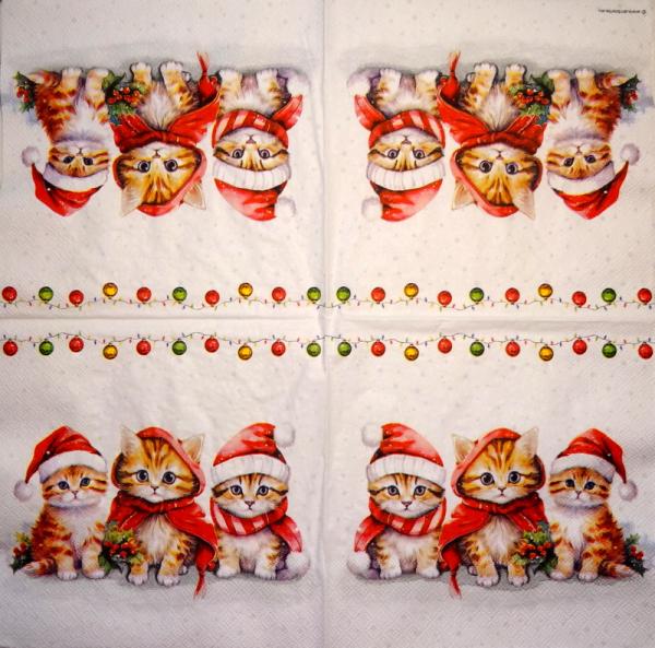 KAT-947 Cats - 3-ply - Ambiente - CS